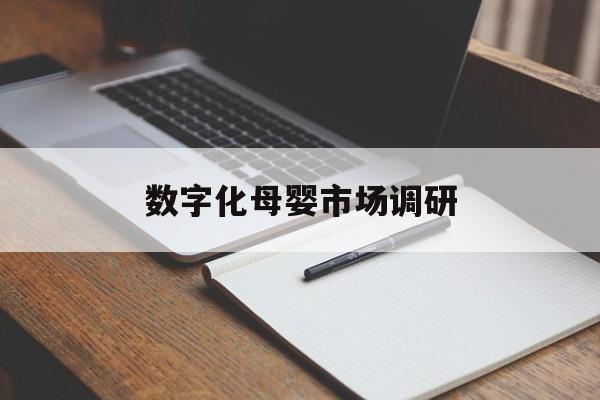 贵港市数字化母婴市场调研(数字化母婴市场调研报告)